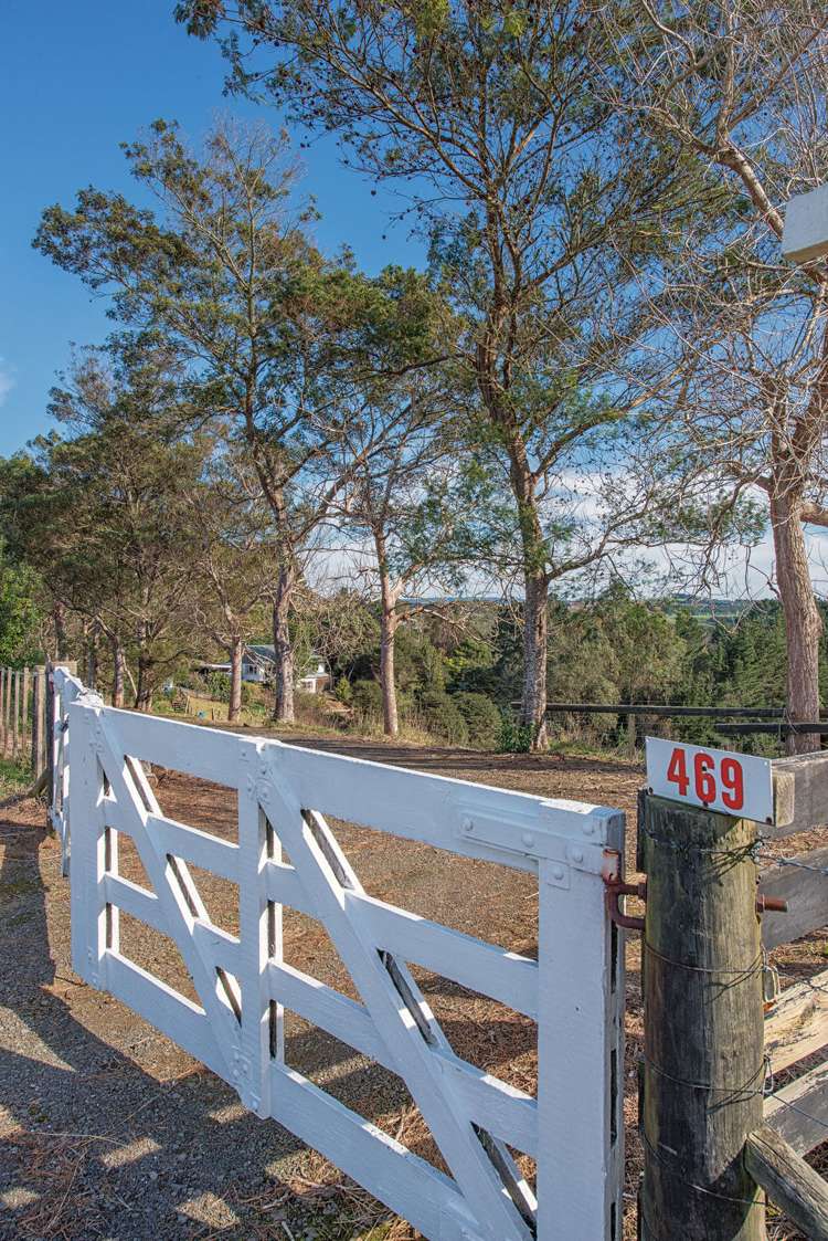 469 Kauri Road Onewhero_9