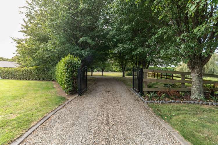 628 Maungatautari Road Cambridge_7