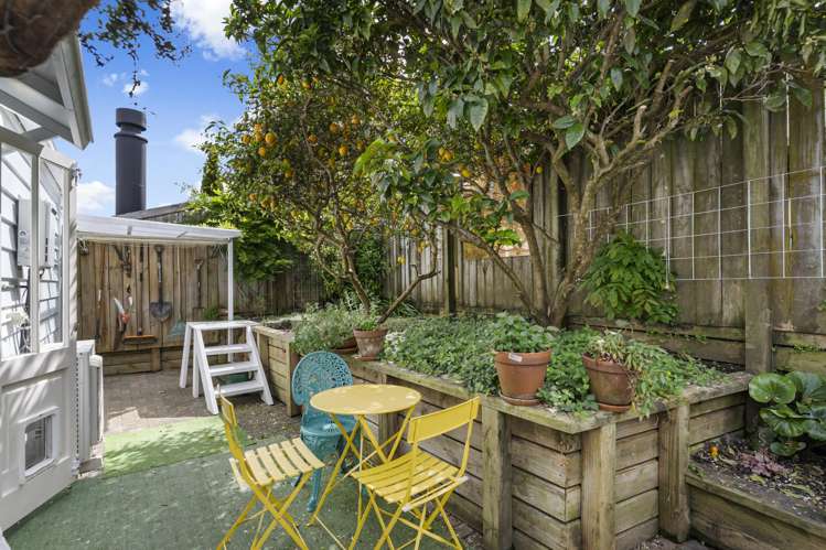 1 Murdoch Road Grey Lynn_6
