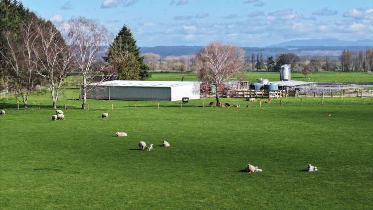 57 Ohutu Road Galatea_17