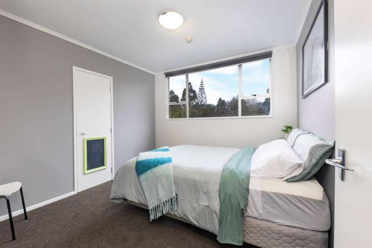 79 Daffodil Street Titirangi_12