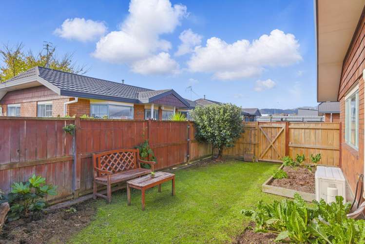 3 Surrey Lane Levin_8