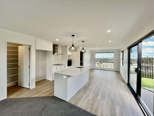 86 Monarch Drive 11103_4