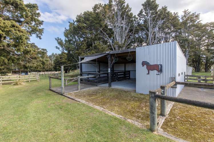 1707 Makaroro Road_5