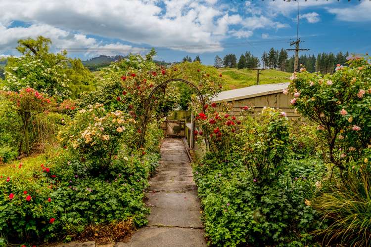 104 Main South Road Green Island_16