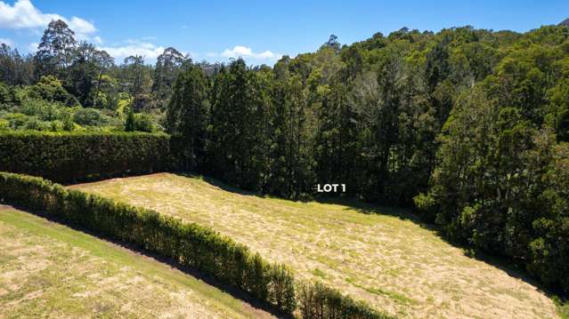 47 Darwin Road Kerikeri_3