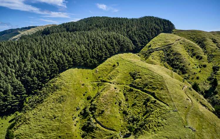 1153 Paekakariki Hill Road Paekakariki Hill_20