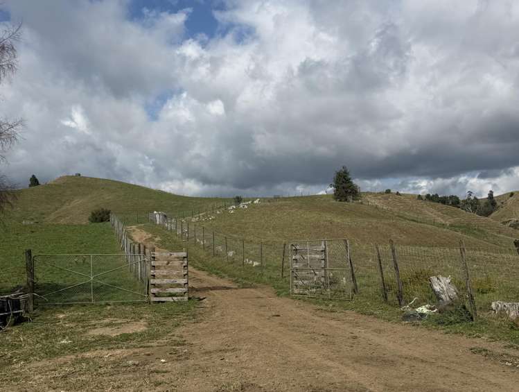 1026 Limeworks Loop Road Karamu_34