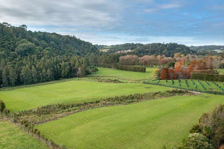 30 Sunnyside Road Sunnyvale_5