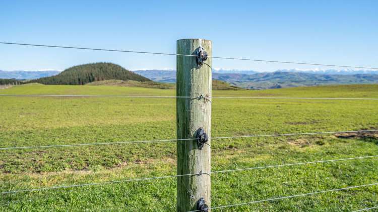 324 Reeces Road Omihi_15