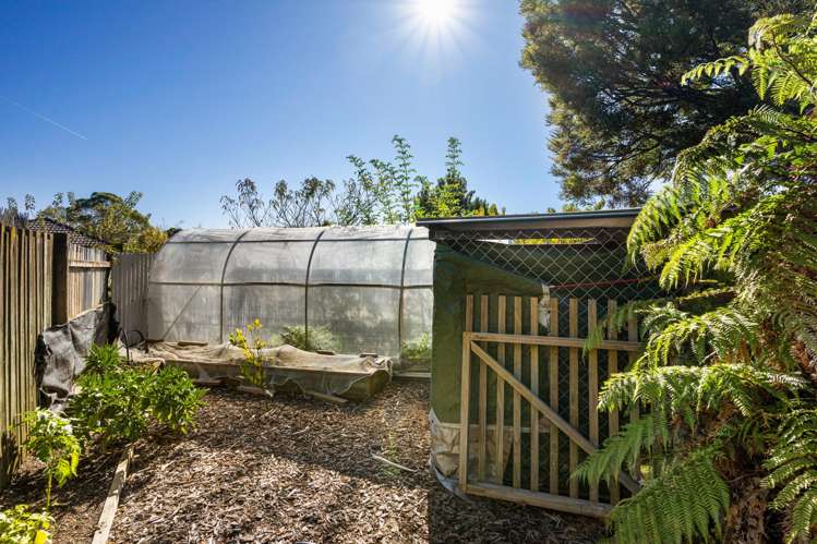 19 Rousehill Street Renwick_24