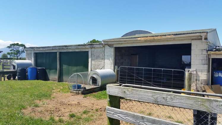 201 Steele Road Manawaru_8