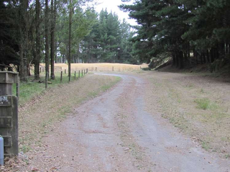 726 Whangamata Road Kinloch_20