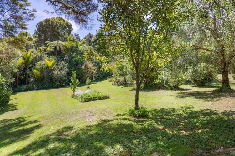 251 Upper Harbour Drive Greenhithe_12