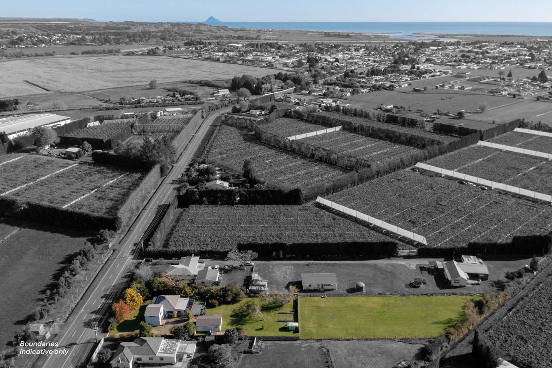 51 Otara Road Opotiki Coastal_0