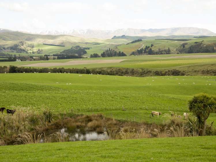 171 Monavale Road Albury_23