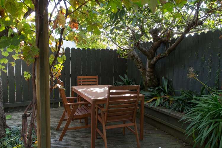 24c Tasman Street The Wood_8