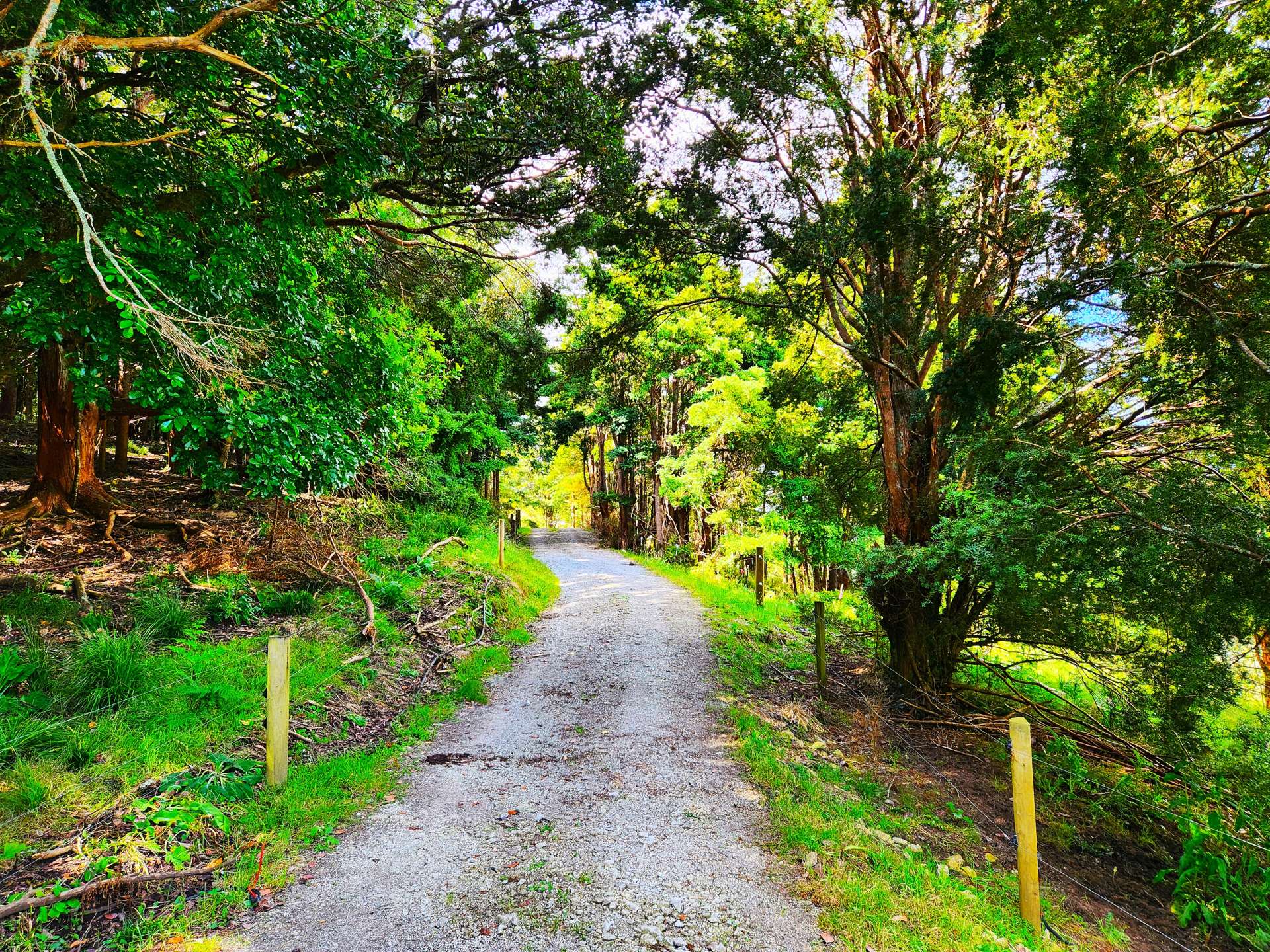 1084 Tangowahine Valley Road Dargaville Surrounds_0