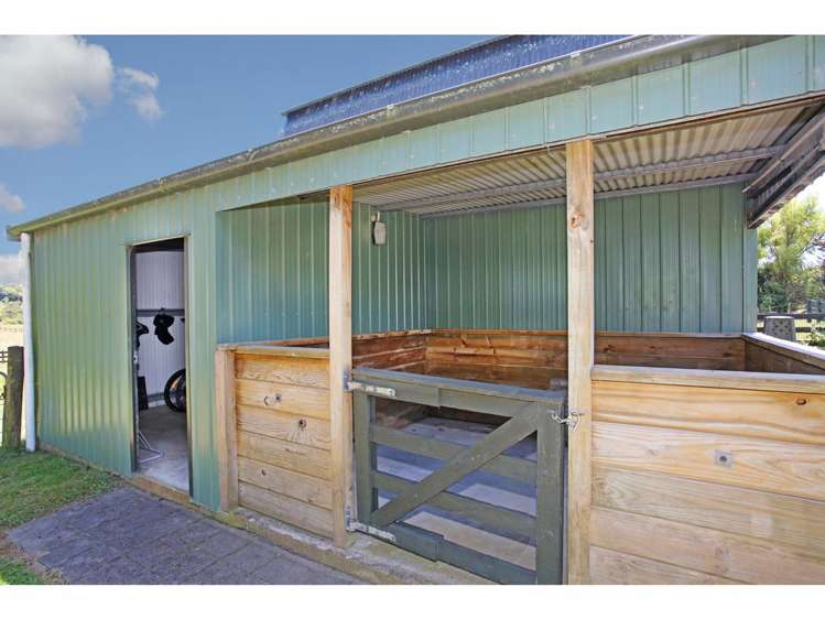 41 Jack Paterson Road Drury_24