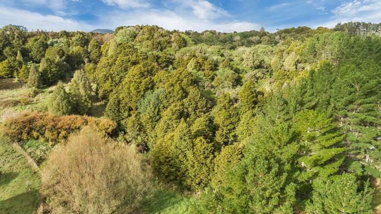 115 Woodward Road Maungatapere_29