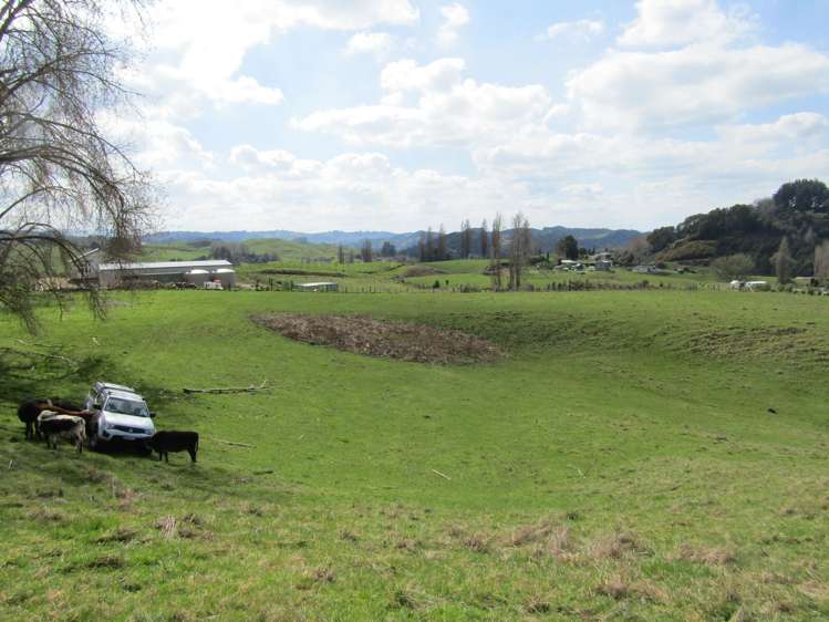 613c Fullerton Road Waitomo_3