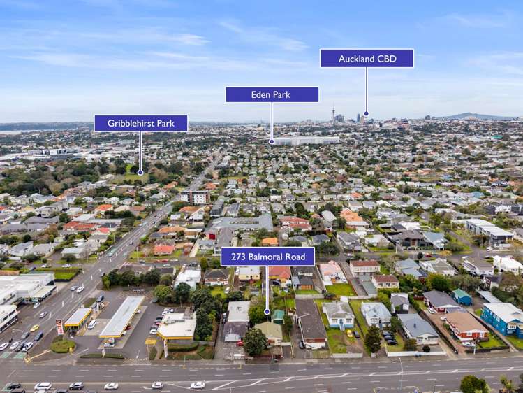 273 Balmoral Road Sandringham_18