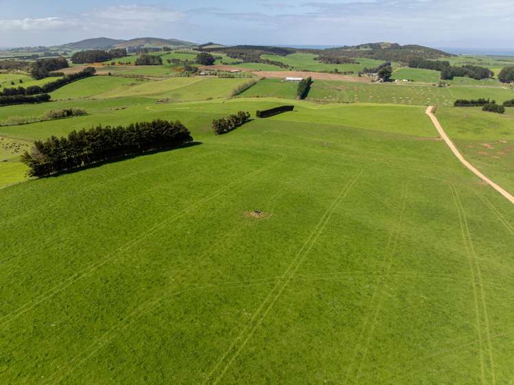 963 Centre Road Waipango_19