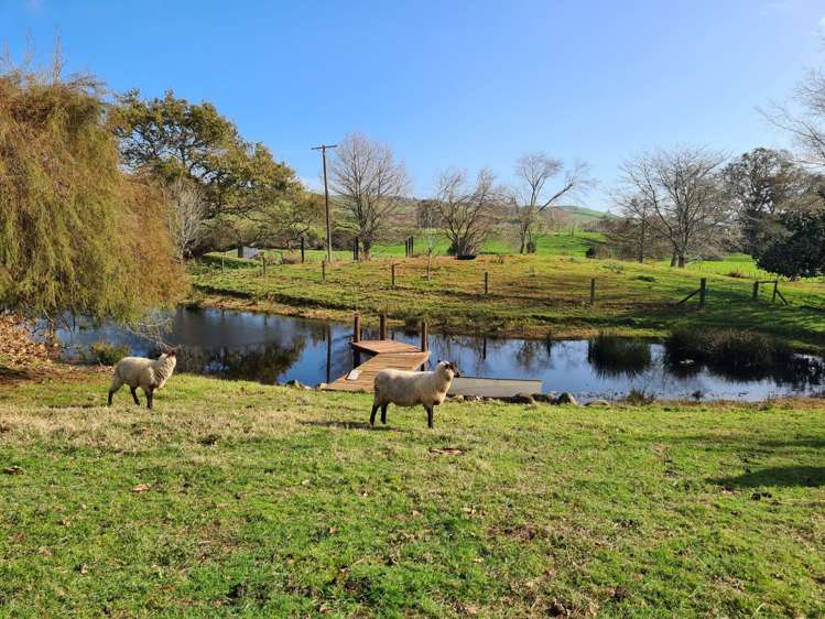 1325 Morrinsville-Tahuna Road Tahuna_14