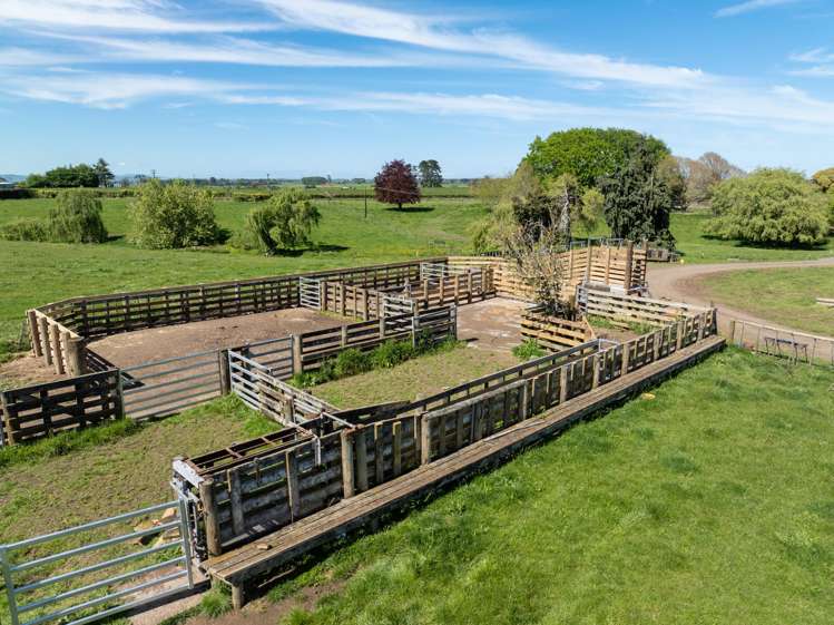 1230 Tauhei Road Morrinsville_12