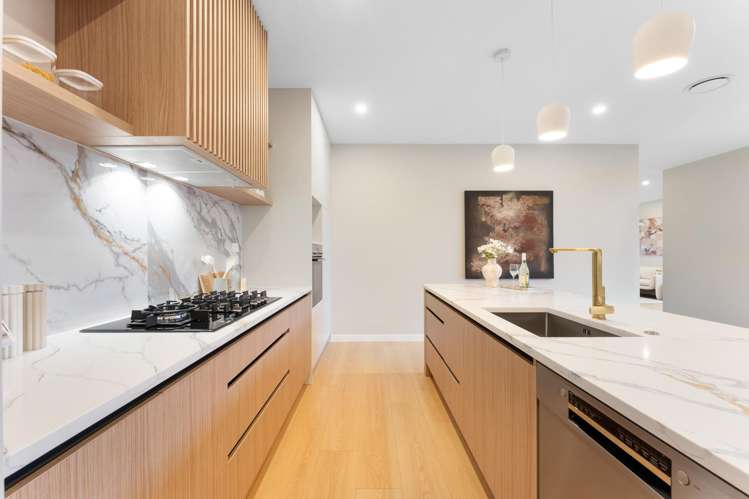 17 Tamaota Terrace_4