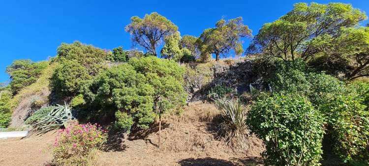 18 McCormacks Bay Road Mount Pleasant_12
