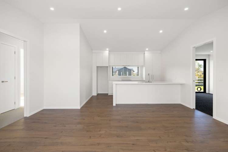 733 Collinson Street Pirongia_29
