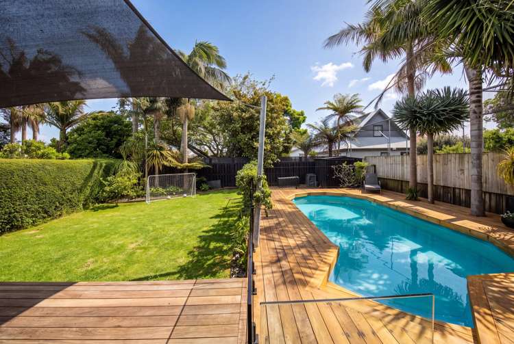 19 Jersey Avenue Mount Albert_19