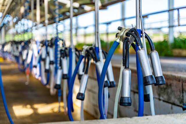 455 West Coast Road Te Kopuru_1