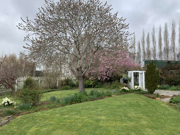 122 Old Port Road Catlins Surrounds_32