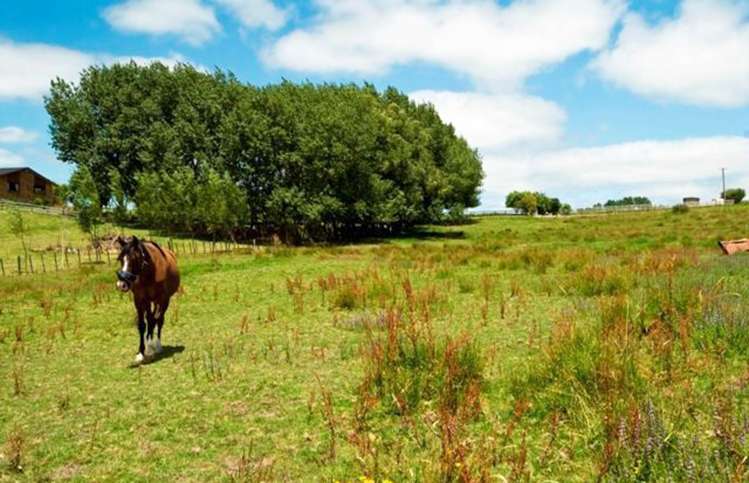 19 Spur Road Silverdale_5
