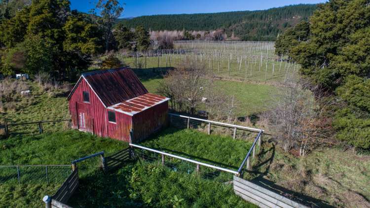 695 Wakefield-Kohatu Highway Wakefield_6