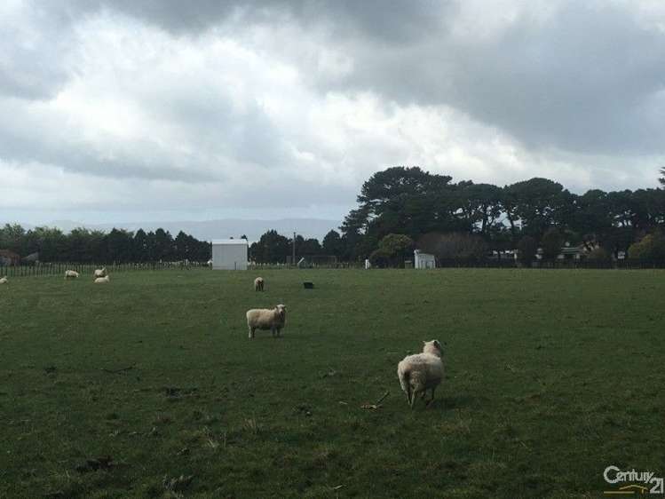 702 Kumeti Road Dannevirke_21