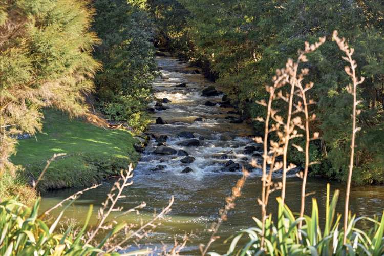 78 River Drive Kerikeri_33
