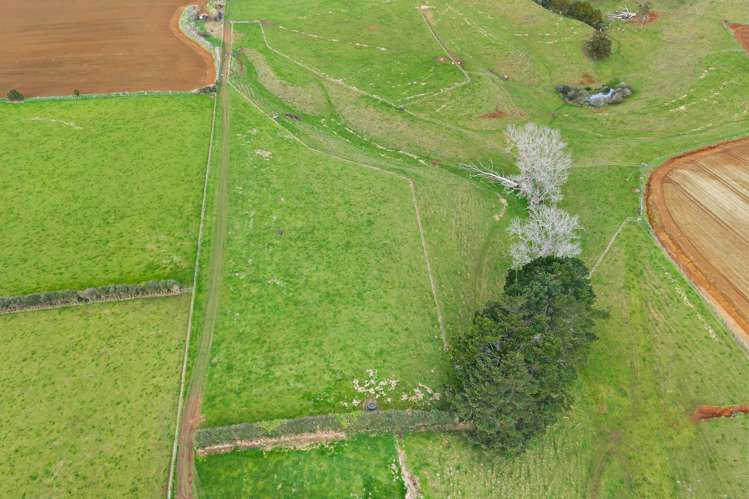 180 Andrews Road Onewhero_26