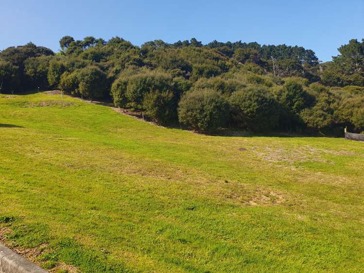 12 Ngarimu Heights Row Ngarimu Bay_5