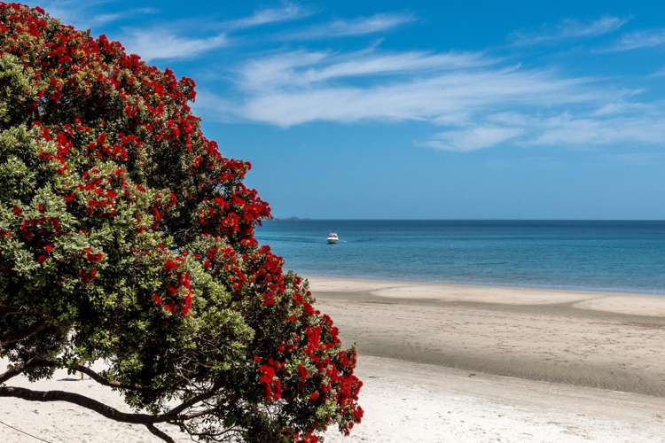 472A Sea View Road Onetangi_21