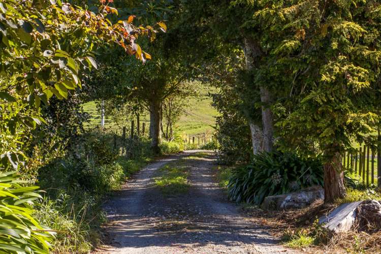 139b Golden Valley Road Waihi_16