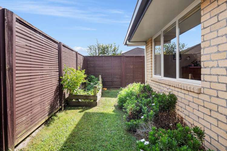 11 Malta Crescent Katikati_10
