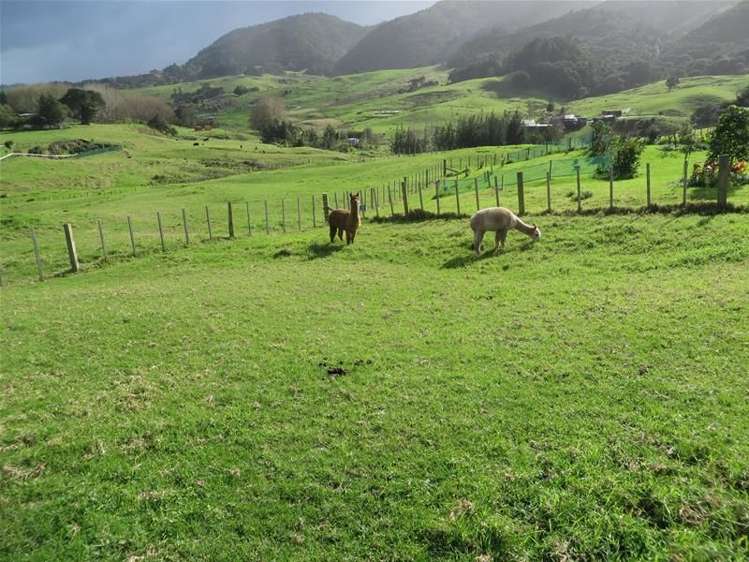 278 Mountain Road Maungaturoto_2