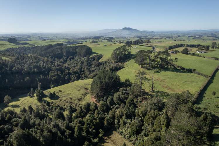 272 Ngutunui Road Puketotara_19
