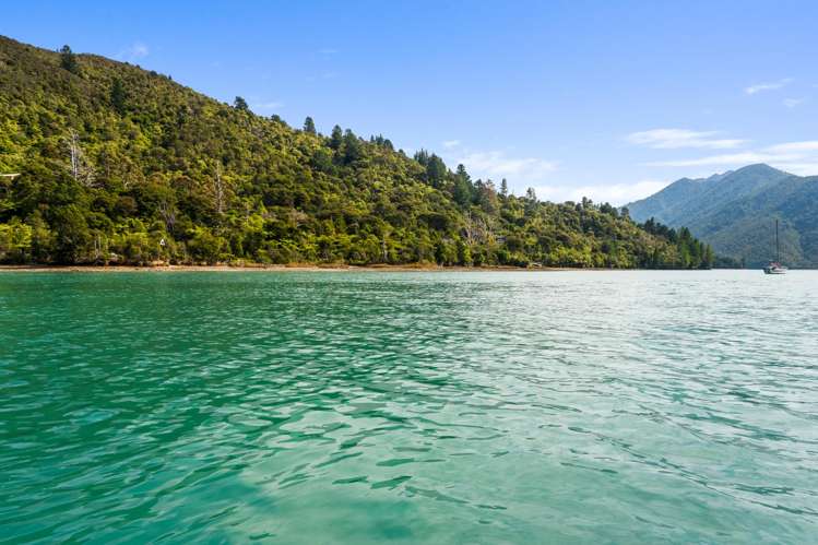 Lots 1 and 5 Nydia Bay Nydia Bay_22