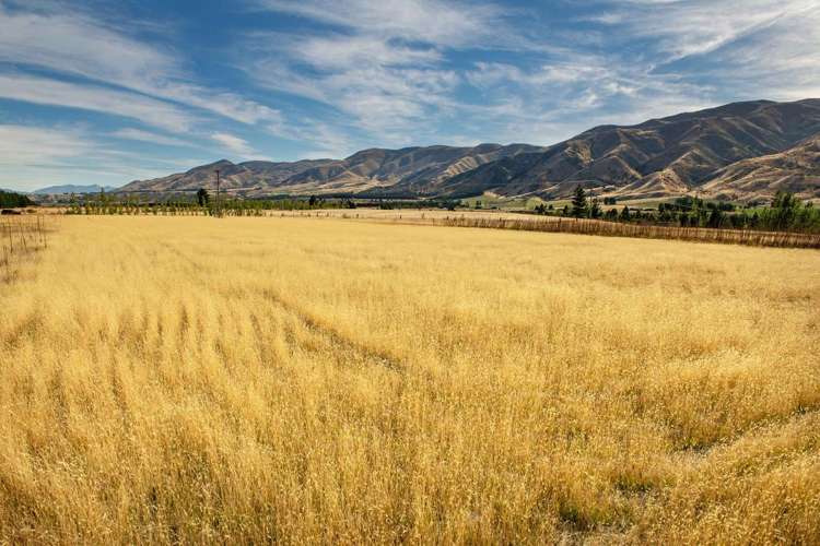 3166 Luggate-Cromwell Road Queensberry_7