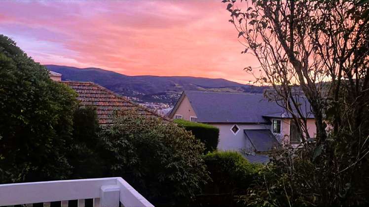 9 Dunrobin Street Waverley_32