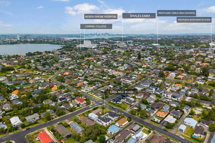 148A Nile Road Milford_22